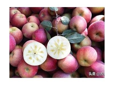糖心苹果电影在线免费观看：精彩剧情及观后感分享