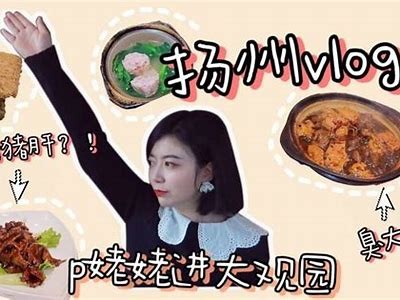 糖心Vlog：探索IGAO的甜蜜世界，分享美味与生活美学