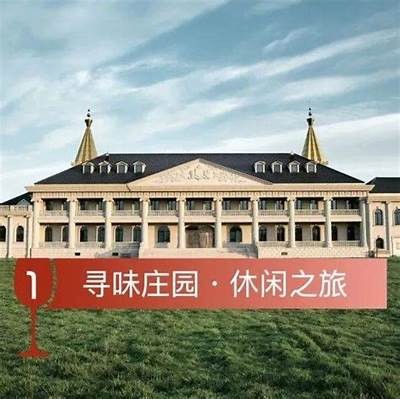 糖心Viog视频解析：品味无与伦比葡萄酒的魅力与风味