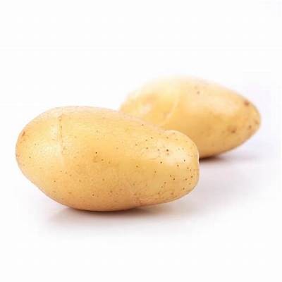 亚洲糖心：在线阅读与精彩内容分享