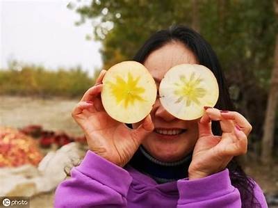 糖心iOS在线使用教程：快速上手与常见困难解答