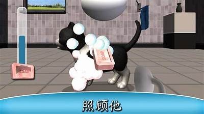 猫宝宝糖心在线：探索可爱猫咪的世界，分享养猫技巧与生活乐趣
