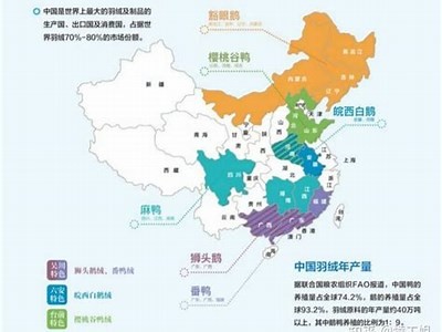 国产天鹅绒多肉能否成功出糖心？养护技巧揭秘！