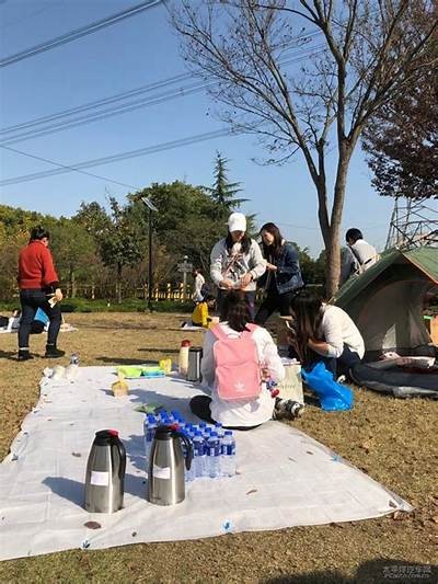 vlog糖心官网：探索美好生活与甜蜜瞬间的分享平台