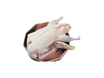 糖心日韩在线观看：热门日韩影视资源一网打尽