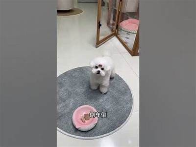 糖心泰国娃娃在线观看：探寻这部热门影片的故事与魅力