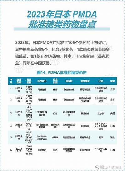 多乙糖心国产新产品上市，助力健康生活