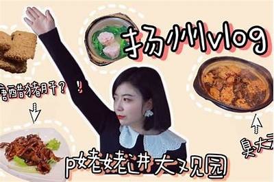 探索国产精品糖心vlog：观看无与伦比创意与生活美学的完美结合