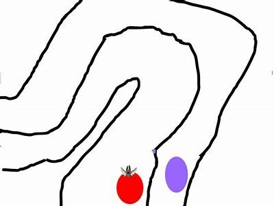 探索糖心司语在线：语音识别与智能助手的全新体验