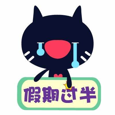 柚子猫糖心Vlog：记录宠物的每一天与快乐瞬间