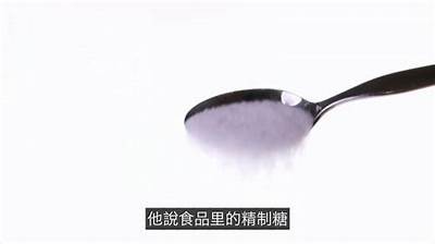 糖心猎人：甜蜜冒险中的爱与成长在线阅读