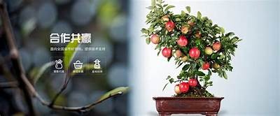 糖心小七在线乐享，无需下载，畅看精彩剧情