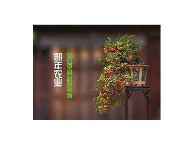 国产剧情糖心在线观看：感受甜蜜与感动的故事