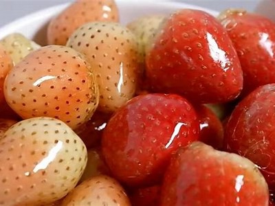 草莓视频在线下载糖心教程：快速获取最新资源的方法