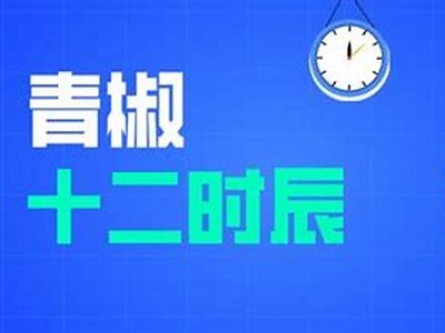 探索TXVLOG：糖心短视频网站的精彩瞬间与创作分享