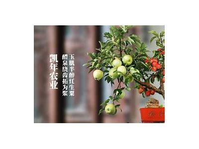 糖心社区在线观看入口：畅享精彩内容，无论何时随地看不停