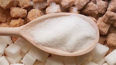 多乙糖心在线：健康生活的新选择，助力你我她
