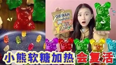 可爱糖心小熊撒娇视频分享，萌化你的心