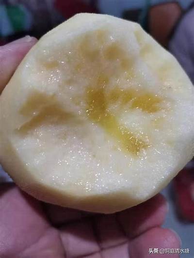 精选国产糖心苹果推荐，口感独有鲜甜，健康美味必尝！