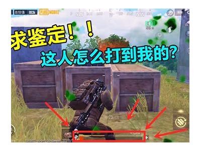畅游糖心在线：精彩视频资源尽在掌握！