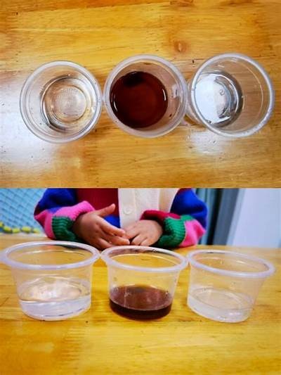 糖心的生物老师在线课堂：探索生物奥秘与学习乐趣