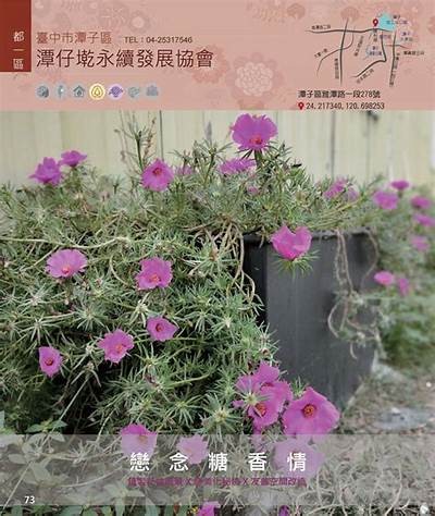 糖心酒在线阅读，潭石最新作品解析与讨论