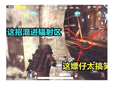 在线观看糖心鸡教练免费版，轻松学习健康美食制作技巧