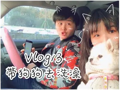 糖心VLOG：探索可爱柚子猫的生活日常与趣味瞬间